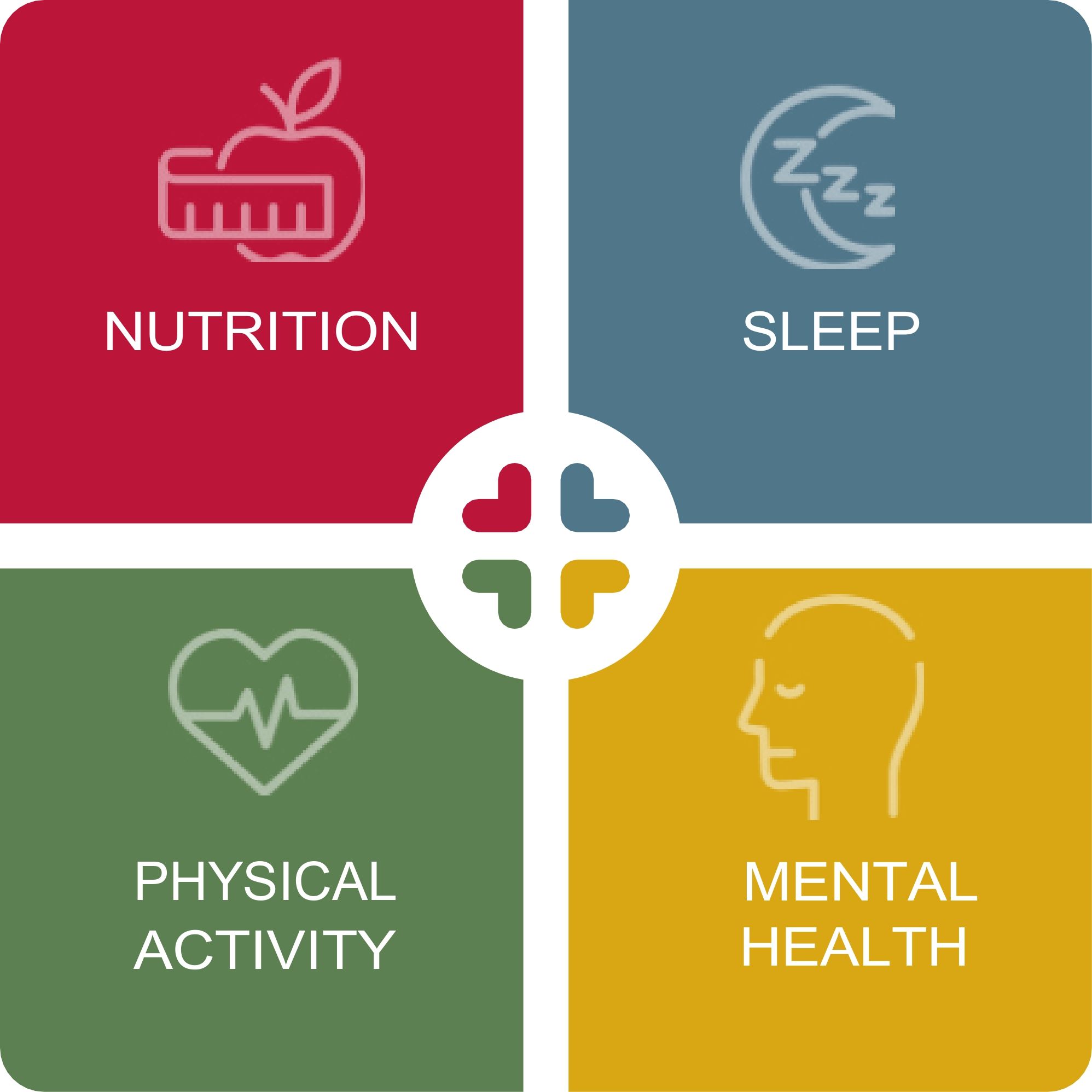 Introduction to the "4 pillars"